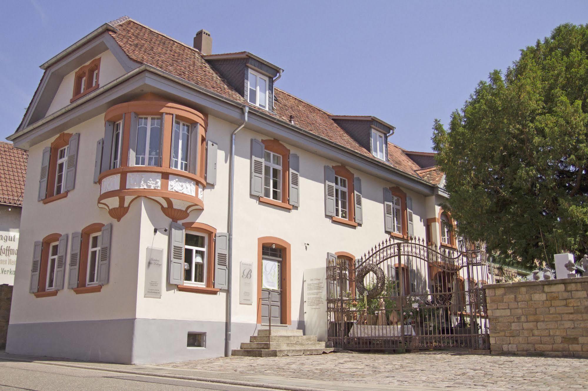 Villa Delange Landau in der Pfalz Luaran gambar